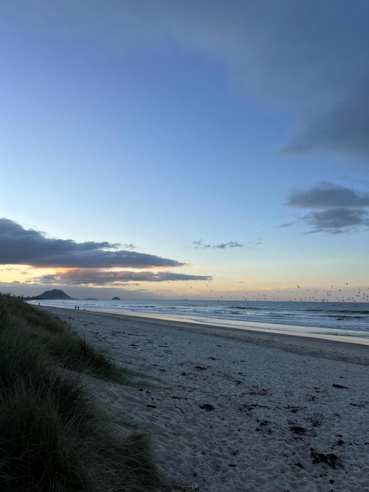 Papamoa Beach, Pohutukawa Deluxe Studio, On Hugoway Zewnętrze zdjęcie